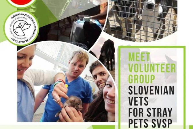Slovenian Vets for Stray Pets