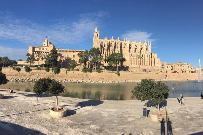FECAVA Laboklin Travel Scholarship 2018: Scottish vets visit Mallorca