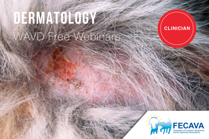 WAVD Free Webinars on Dermatology