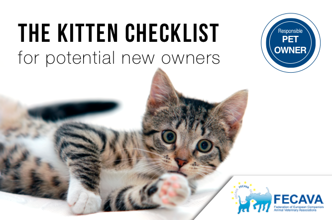 The Kitten Checklist