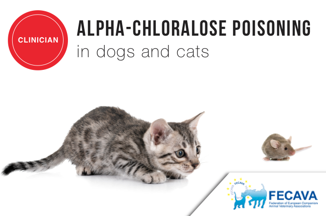 Alphachloralose, a novel rodenticide, found to be toxic to cats and dogs