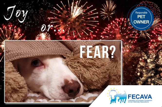 Advise for pet owners on measures to keep their pets safe during fireworks season