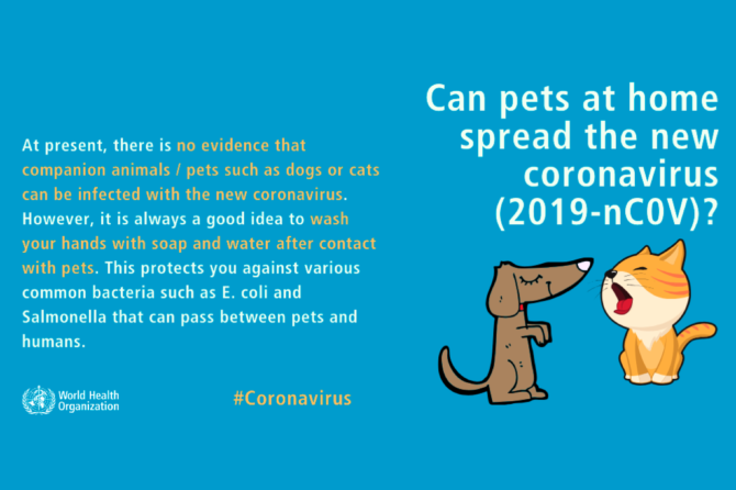 Can pets at home spread the new coronavirus (2019-nCoV)?