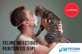 Feline Infectious Peritonitis (FIP)  FECAVA