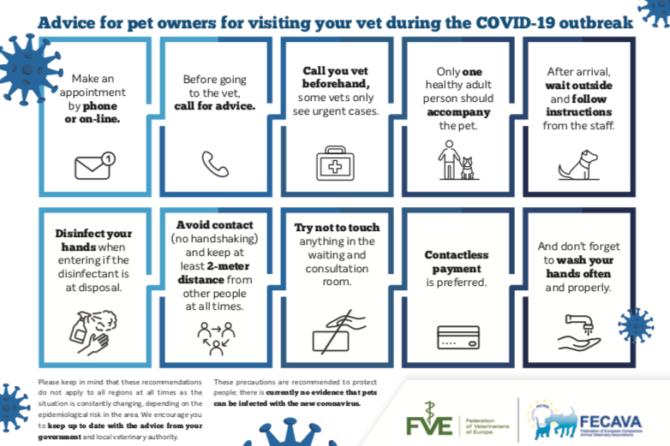 Advice for pet owners for visiting your vet during the COVID-19 outbreak