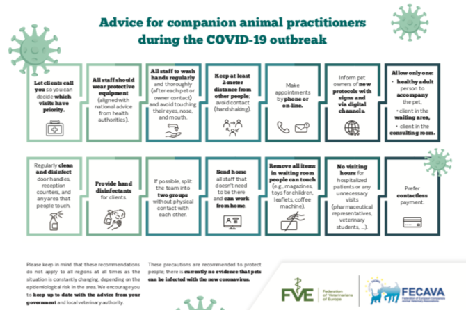 Advice for companion animal practitioners during the COVID-19 outbreak