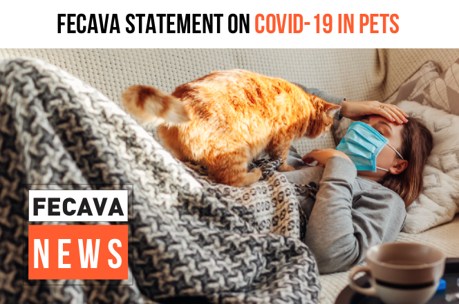 FECAVA Statement on COVID-19 and pets