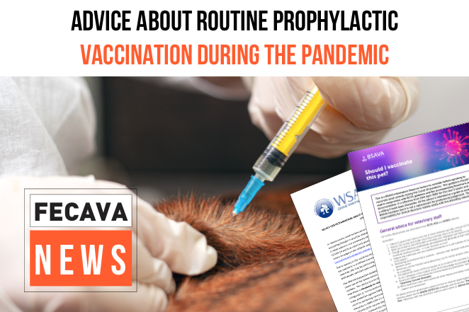 Advice about routine prophylactic vaccination during the pandemic