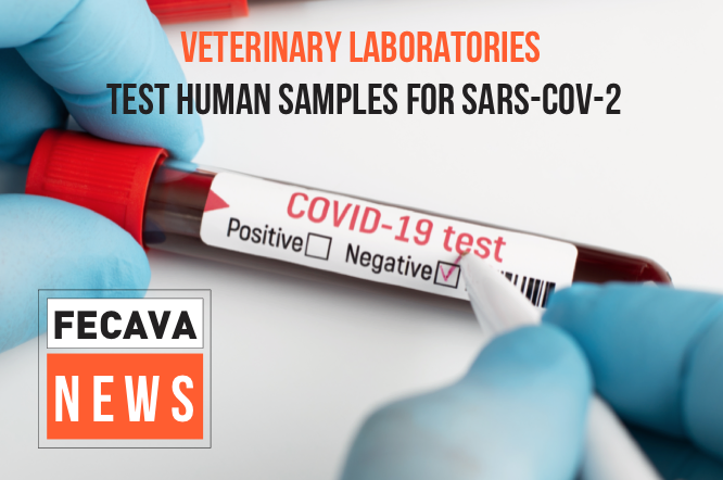 Veterinary laboratories contribute to the human sample testing for SARS-CoV-2