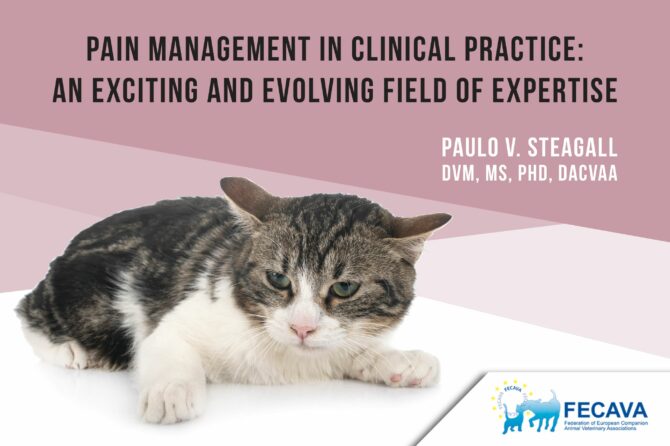 Pain management in clinical practice: an exciting and evolving field of expertise