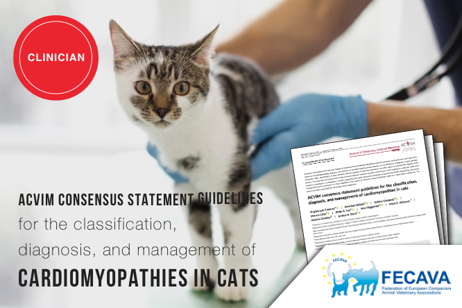 ACVIM consensus statement guidelines for the classification, diagnosis and management of cardiomyopathies in cats