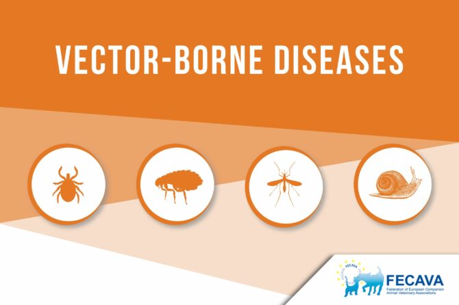 Vector-borne diseases