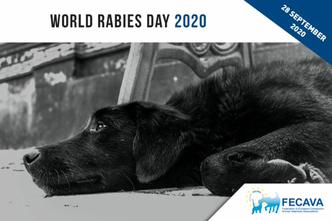 World Rabies Day 2020