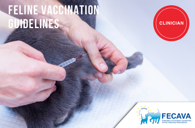 Feline Vaccination Guidelines