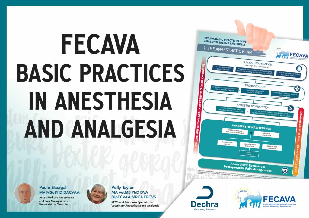 Precision Anesthesia: Ensuring Comfortable and Safe Procedures