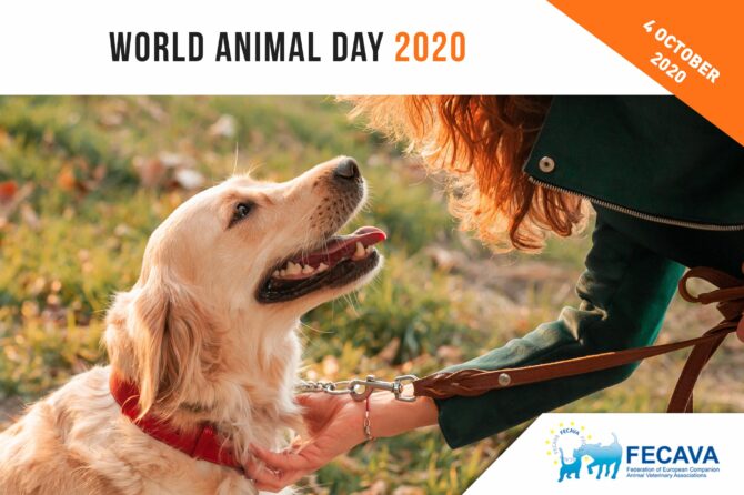 World Animal Day / 4 October