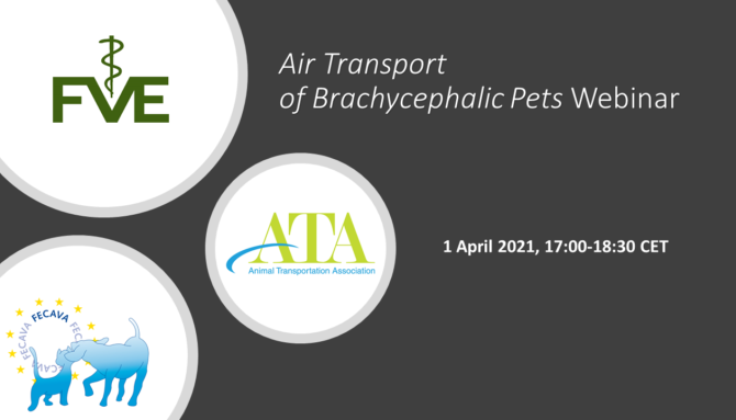 ATA/FECAVA/FVE Webinar on air transport of brachiocephalic pets 1 April 5 PM CET