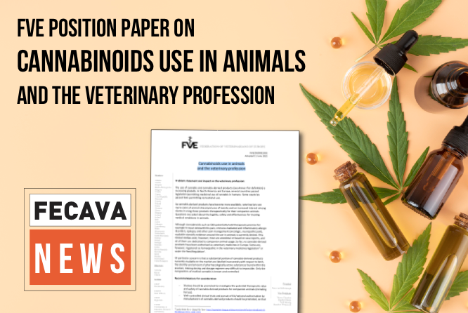 FVE and UVEP medicines group position paper on Cannabinoids use in animals and the veterinary profession
