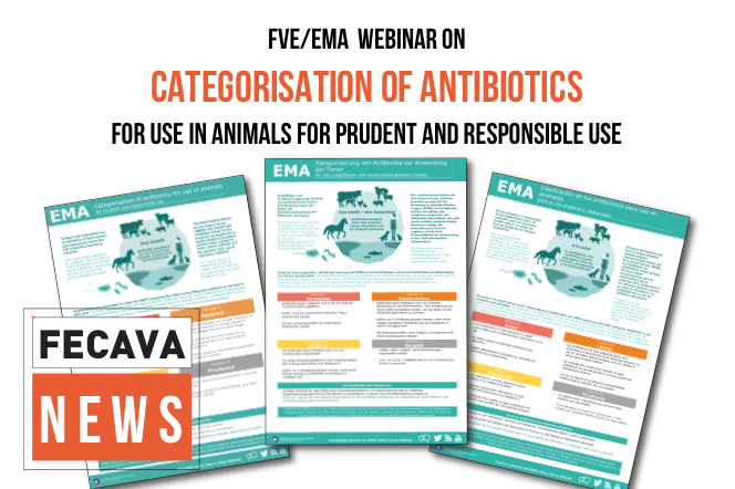 EMA/FVE Webinar on Categorization of Antibiotics for Veterinary Use