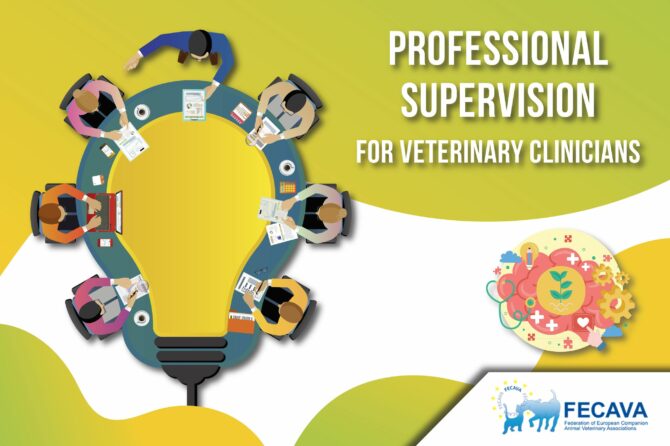 Professional Supervision as a means of Support for Veterinarians