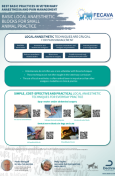 BASIC LOCAL ANAESTHETIC BLOCKS FOR SMALL ANIMAL PRACTICE flowchart