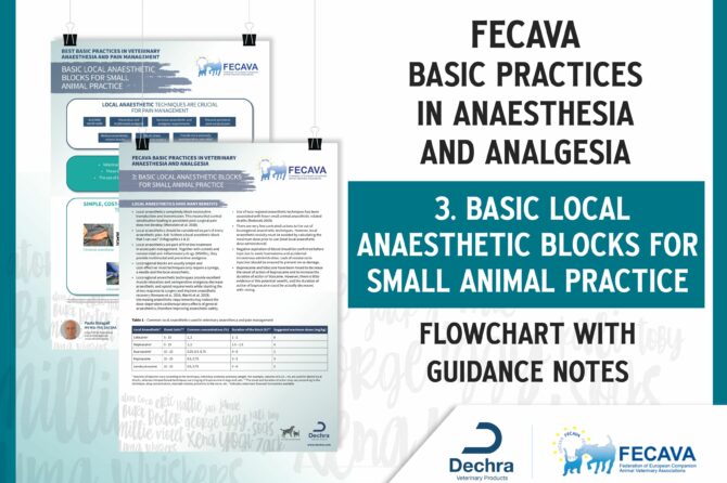 Basic Local Anaesthetic Blocs for Small Animal Practice