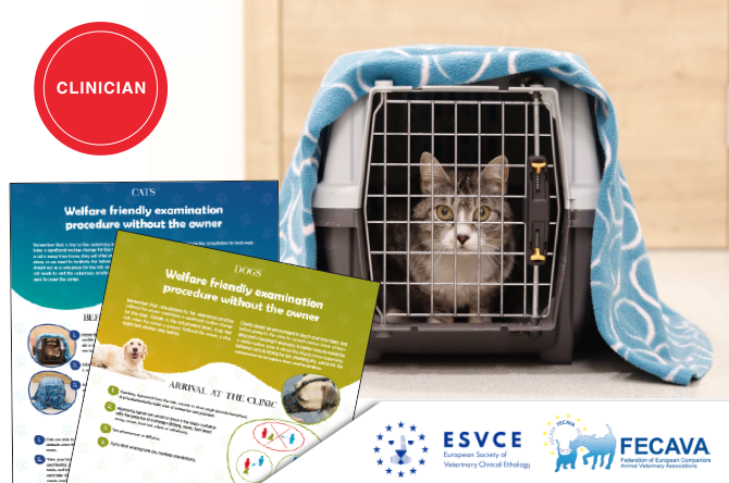 Welfare friendly examination procedure of dogs and cats without the owner