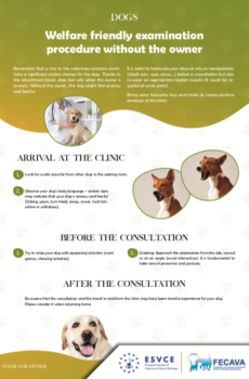 EXAMINATION WITHOUT OWNERS DOGS FOR OWNERS