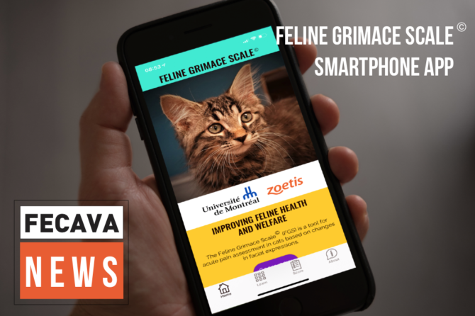 Feline Grimace Scale Phone App