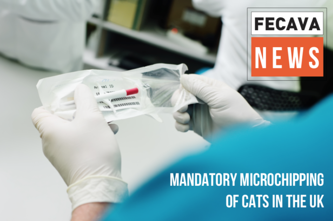Cat microchipping to be made mandatory in the UK