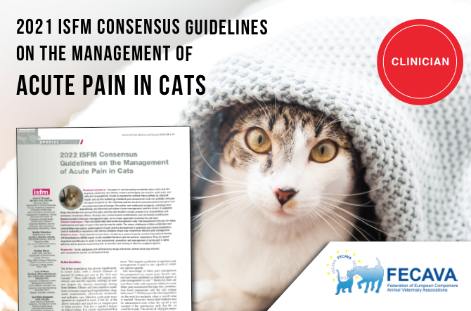 2022 ISFM Consensus Guidelines on the Management of Acute Pain in Cats