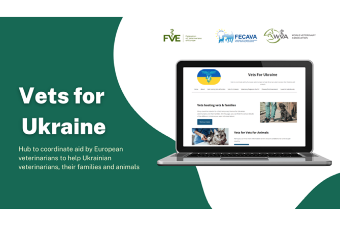 Vets for Ukraine web portal launched