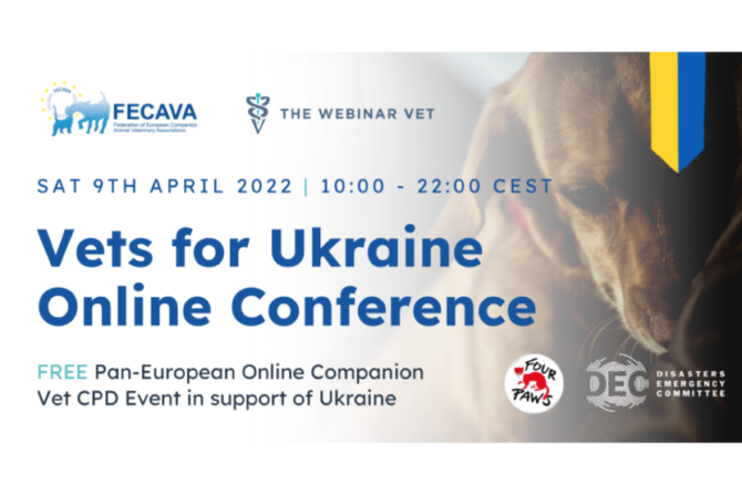 Vets for Ukraine Online Conference