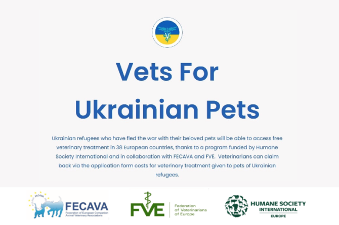 Free veterinary care for pets of Ukrainian refugees launched across Europe