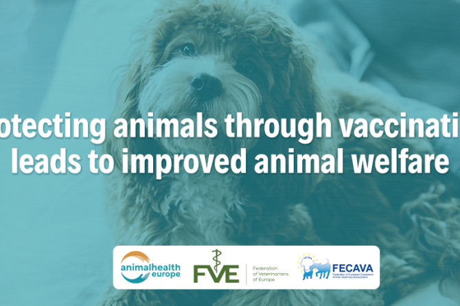 World Animal Vaccination Day: Realising the potential of vaccination for better animal welfare