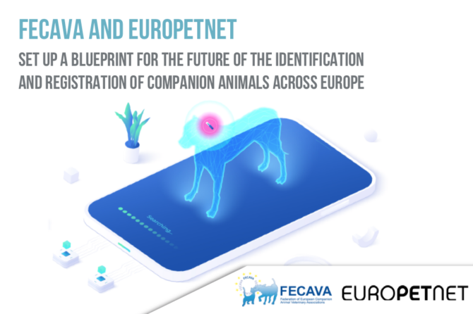 FECAVA and EUROPETNET set up a blueprint for the future of the Identification and Registration of companion animals across Europe