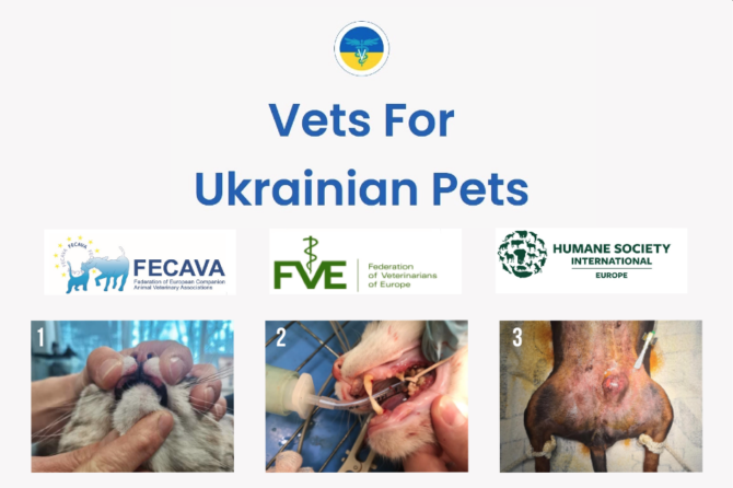 Vets for Ukrainian pets – Guideline for Story Collection