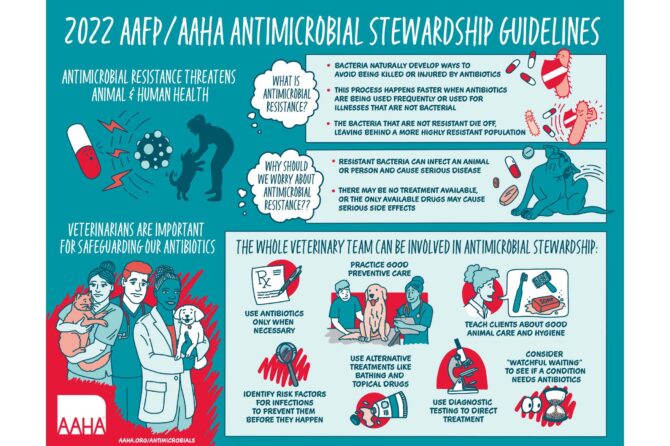 2022 AAFP/AAHA Antimicrobial Stewardship Guidelines