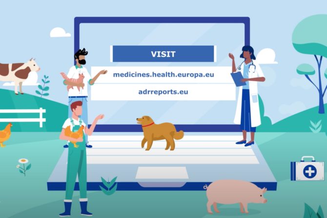 EMA launches a central source of information on veterinary medicines in EU/EEA