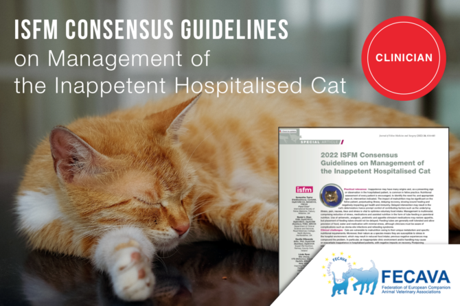 2022 ISFM Consensus Guidelines on Management of the Inappetent Hospitalised Cat