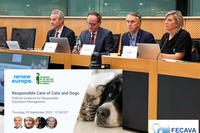FECAVA participates in a discussion at the EU Parliament on Responsible Care of Cats and Dogs