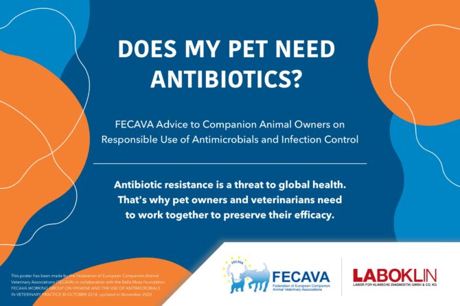 Does my pet need antibiotics?