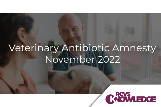 FECAVA supports BSAVA and RCVS Knowledge Campaign: Veterinary Antibiotic Amnesty
