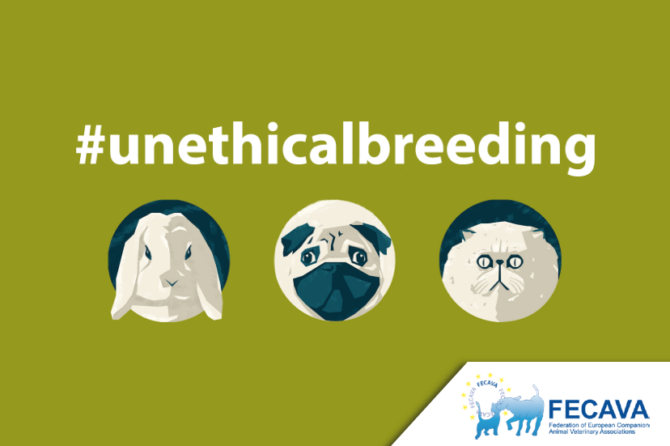 Updates on the lawsuit against unethical dog breeding in Norway