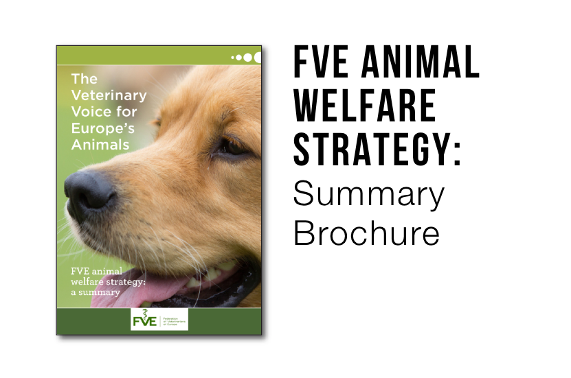 FVE Animal Welfare Strategy: Summary Brochure - FECAVA