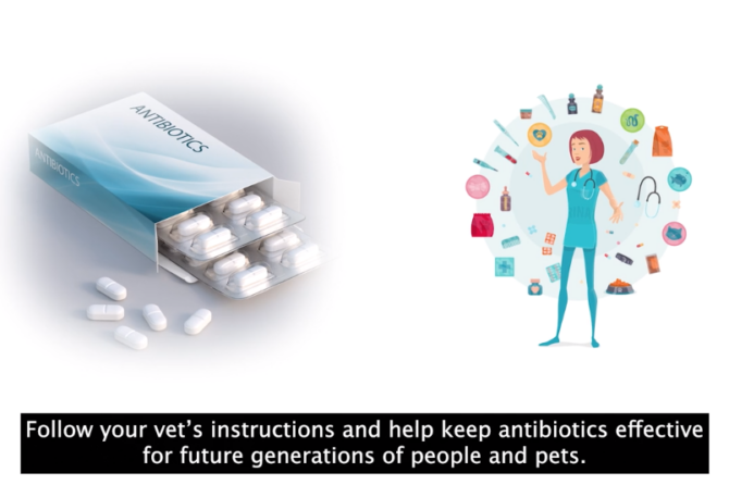 What is World Antibiotic Awareness week? New Bella Moss animation film shows why we should care