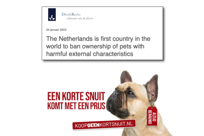 The Netherlands is first country in the world to ban ownership of pets with harmful external characteristics