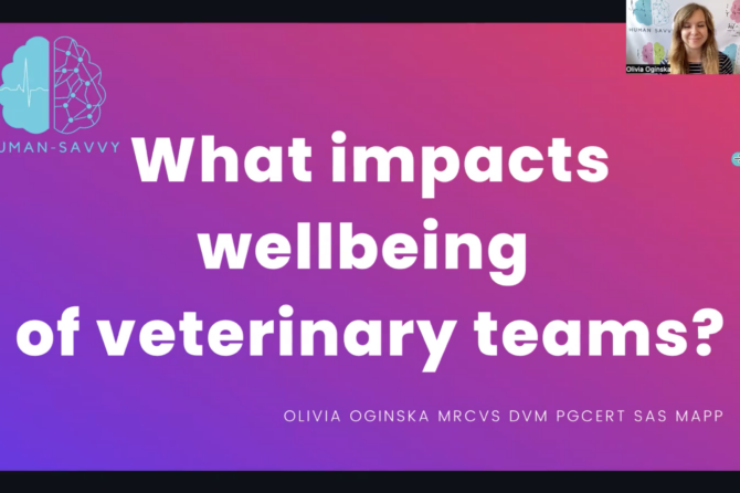 Webinar from Olivia Ogińska (Human-Savvy) • What impacts wellbeing of veterinary professionals