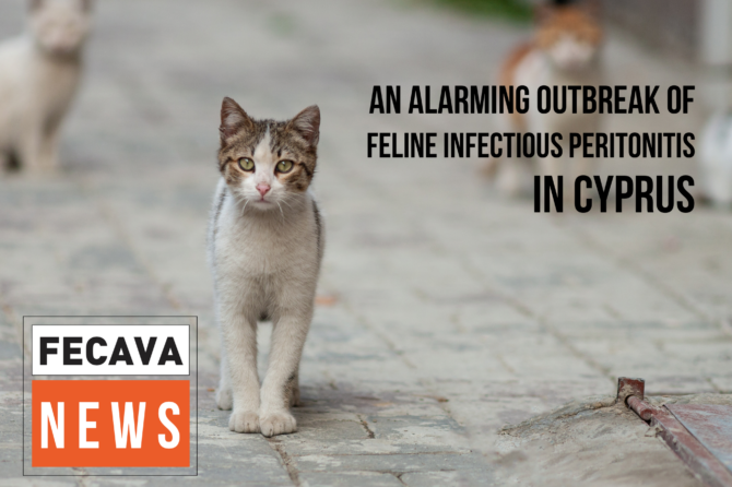 An Alarming Outbreak of Feline Infectious Peritonitis (FIP) in Cyprus