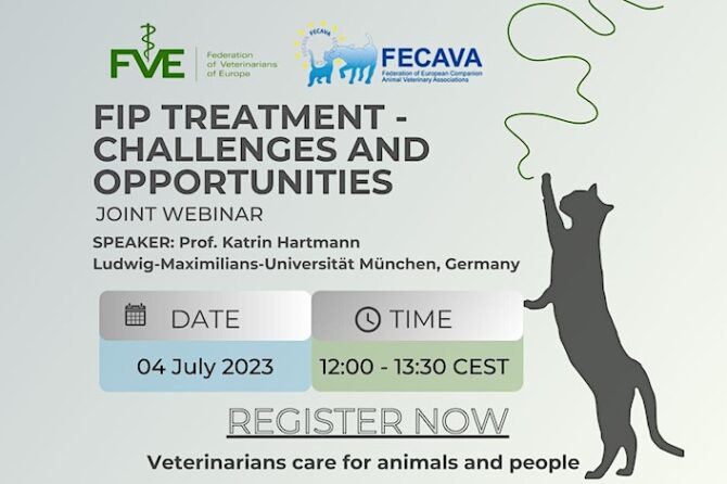 FVE/FECAVA free webinar on challenges and opportunities of FIP treatment